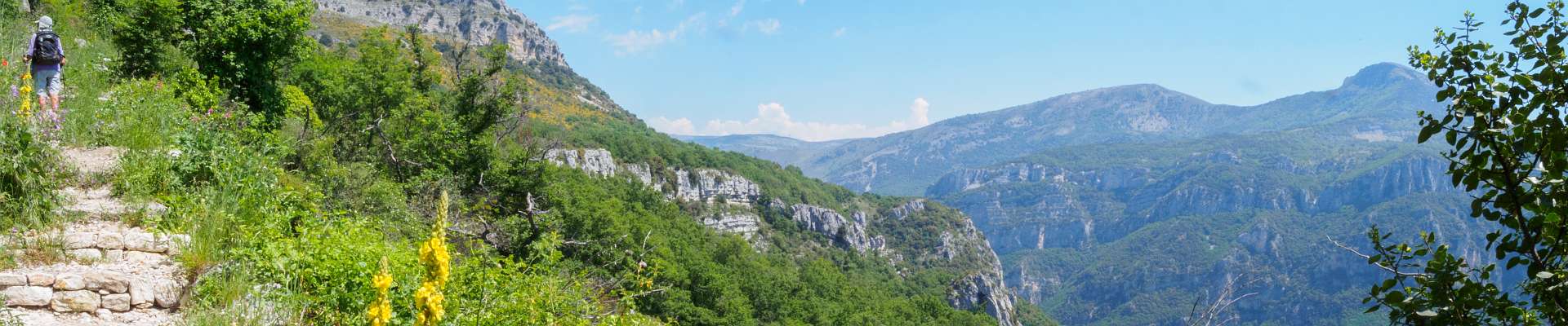 Klik om de knoppen te tonen of te verbergen