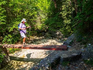 7: 19060603-0310515141_Gourdon