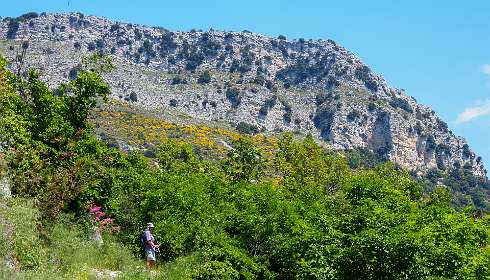 12: 19060603-0312050544_Gourdon