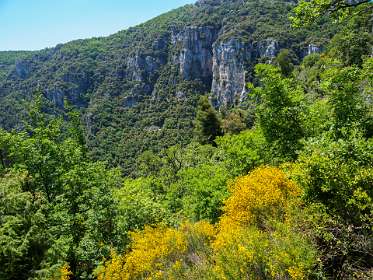 26: 19060603-0313262654_Gourdon