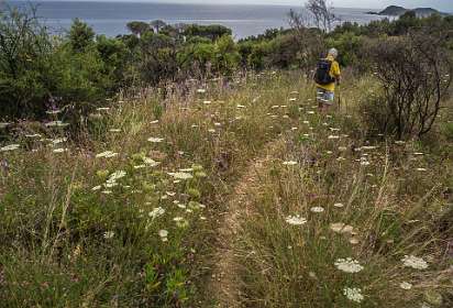4: 19050527-2710373707_Cap-Taillat