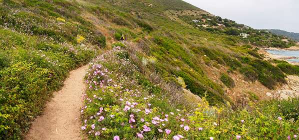 26: 19050527-2713464604_Cap-Taillat-Pano