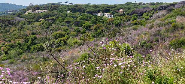 19: 19050524-2412545456_CapCamarat-Pano<br>We zijn hier te ver het binnenland in gelopen, geheel links loopt het Sentier du Litteral