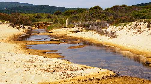 6: 19050526-2612393934_Pamplonne