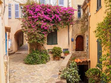 18: 19050525-2512303012_Ramatuelle