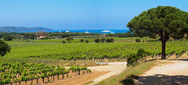 10: 19050523-2315323234_LesTournets-Pano<br>Voor Le Domaines de Tournels achter Baie de Pamplonne