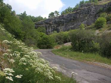 29: 2010 05 29_530_1418