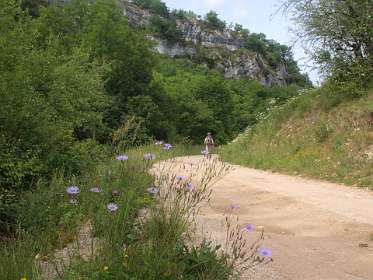 30: 2010 05 29_530_1419