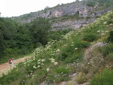 31: 2010 05 29_530_1420