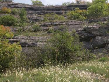 33: 2010 05 29_530_1424