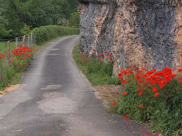 38: 2010 05 29_530_1434