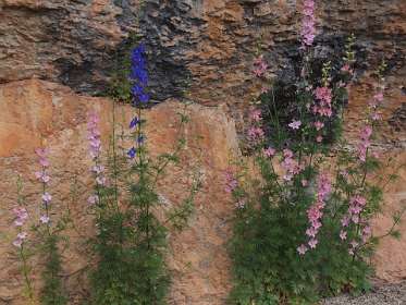 40: 2010 05 29_530_1440