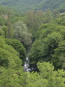 41: 2010 05 29_530_1452