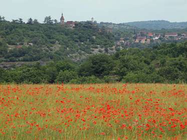 44: 2010 05 29_530_1466<br>In de verte het kasteel van Rocamadour