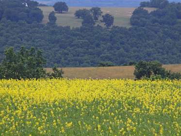 45: 2010 05 29_530_1471