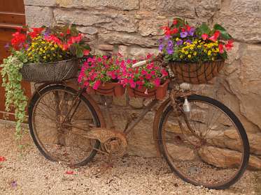 8: 2010 05 31_1541<br>Fiets in Bouzies