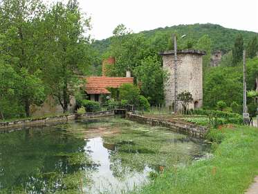 19: 2010 06 01_1579<br>Viskwekerij