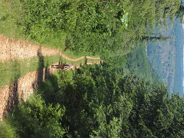 69: 2010 06 03_1757<br>Je loopt veel tussen de bomen, weinig uitzicht