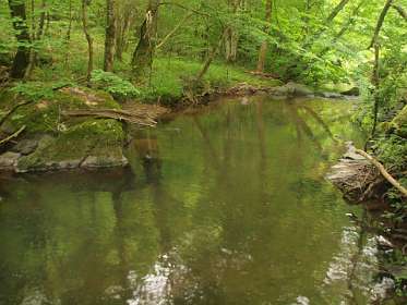 43: 2010 06 06_1922<br>Wandeling langs de L'Ouche