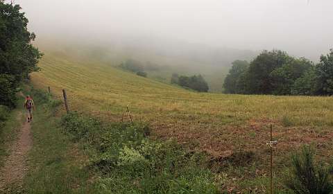 44: 2010 06 06_1926<br>Vandaag geen mooi uitzicht