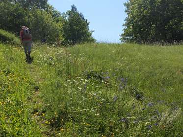 14: 10 20 05_0849<br>GR 36