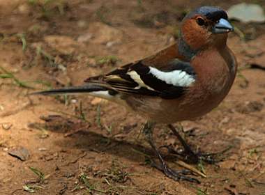 28: 2010 22 mei_0926