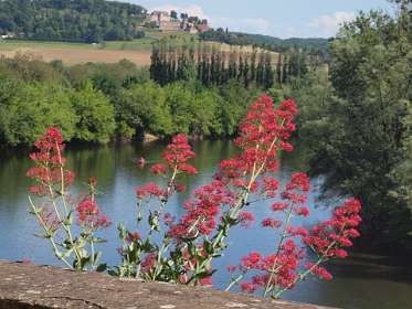 23: 2010 23 mei_1014<br>Valse Valleriaan