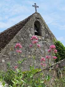 49: 2010 25 mei_1115<br>Centranthis Rubrus voor een kappel in Domme