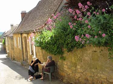 54: 2010 25 mei_1127<br>Discussie onder Centranthis Rubrus (Valse Valleriaan)