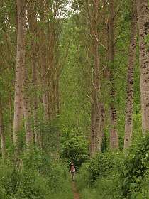 93: 2010 27 mei_1263<br>Pad langs de Dordogne naar de camping