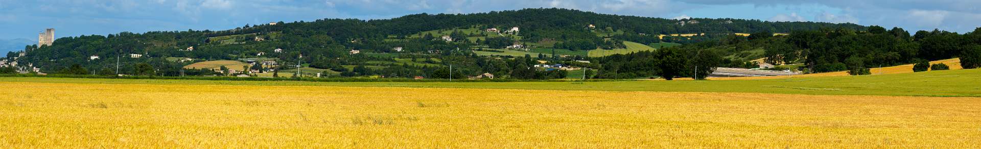 Klik om de knoppen te tonen of te verbergen