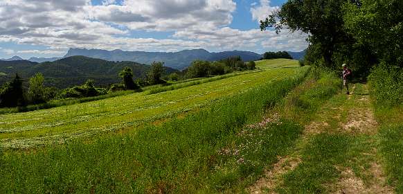 10: 170607104703Cobonne-Pano