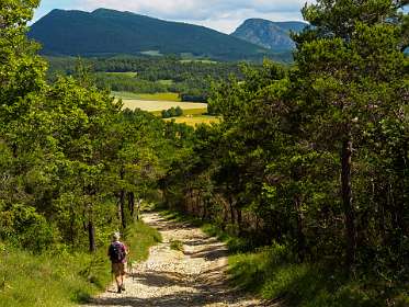 11: 170607105339Cobonne