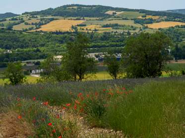 19: 170607134625Cobonne