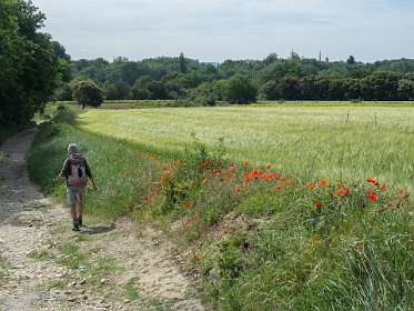 3: 160518-103813_naamloos