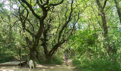 10: 160518-113109_naamloos