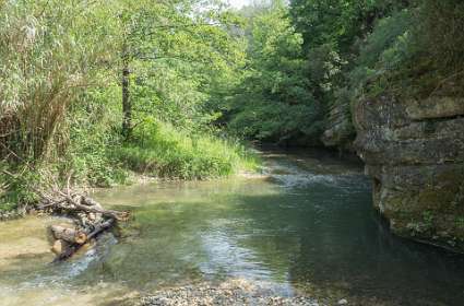 11: 160518-114733_naamloos<br>Le Lez