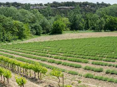 24: 160518-133754_naamloos<br>Over dat rotsplateaux liepen we eerder.