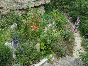 29: 160518-145604_naamloos