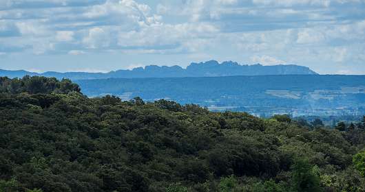 7: 160519-111322_Chantemerle<br>Les Dentilles du Midi