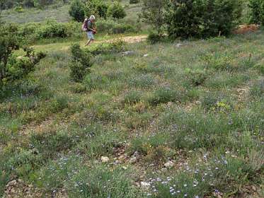 8: 160519-112121_Chantemerle