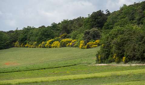 13: 160519-113404_Chantemerle