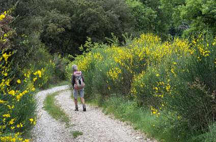 15: 160519-114428_Chantemerle