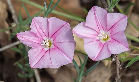 18: 160519-121607_Chantemerle<br>Winde