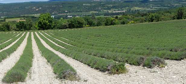 20: 160519-123614_Chantemerle-Pano