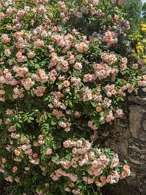 22: 160519-124227_Chantemerle