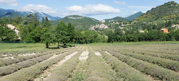 2: 160619-102118_Montbruns-les-Bains-Pano<br>Thijm