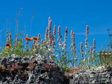 6: 160619-112756_Montbruns-les-Bains