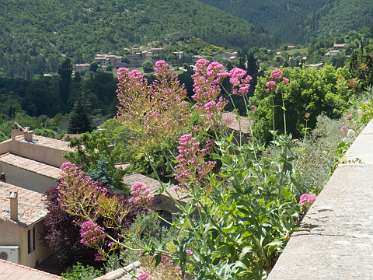 26: 160619-135438_Montbruns-les-Bains