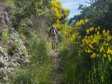 2: 160620-093429_Montbruns-les-Bains